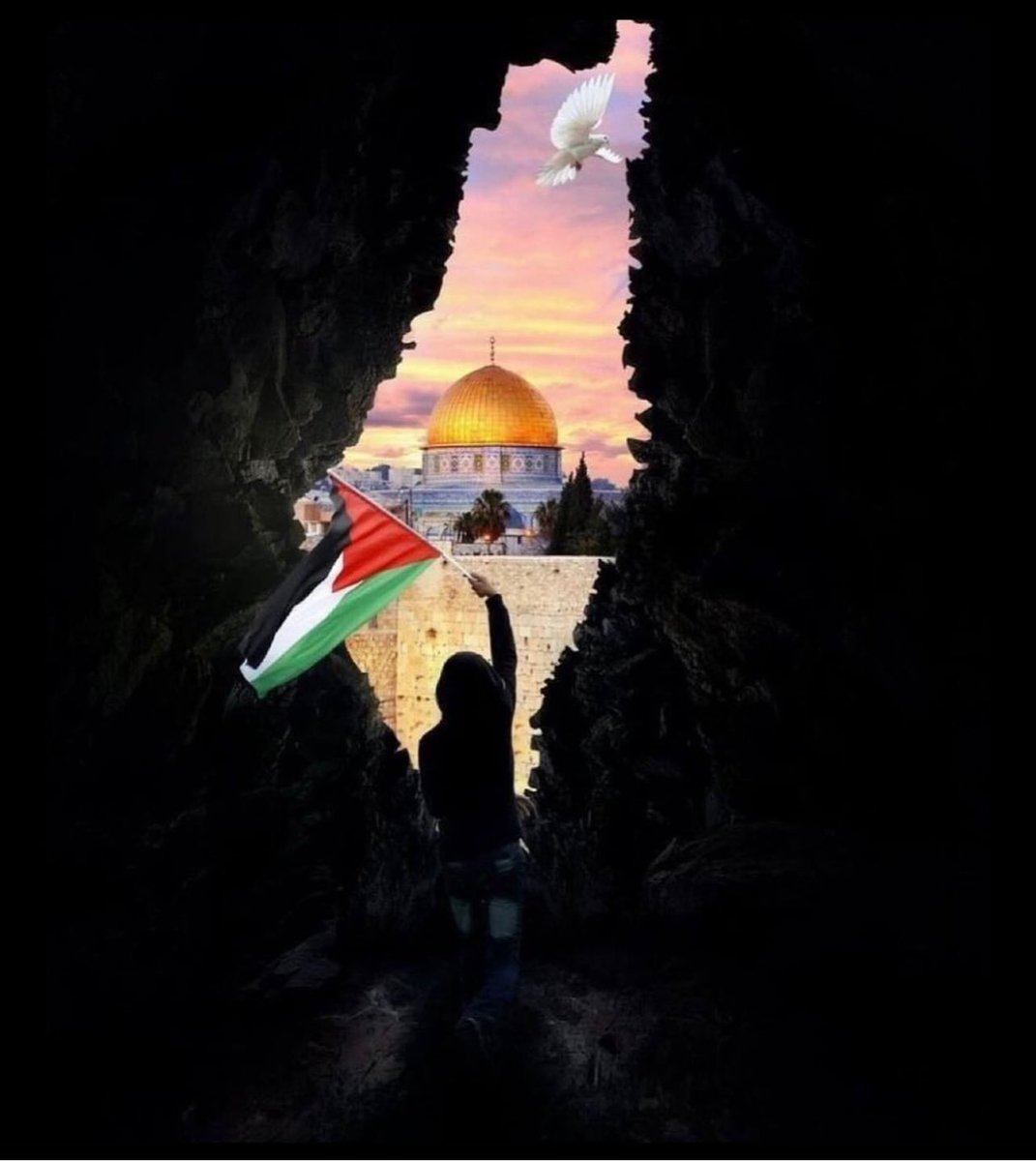 فلسطين 🇵🇸🙏🙏