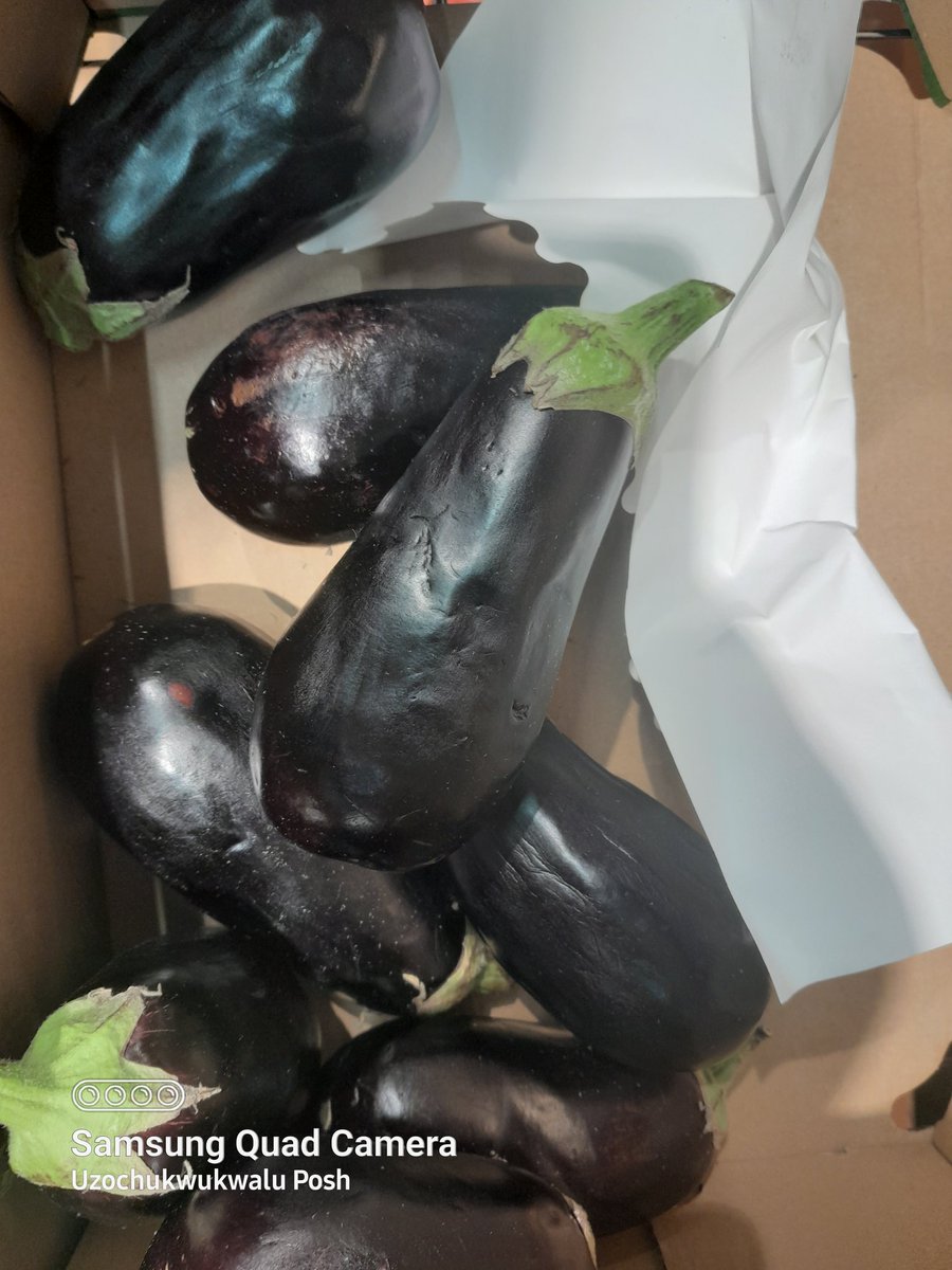 Evang Uzochukwukwalu (Posh) tweet media