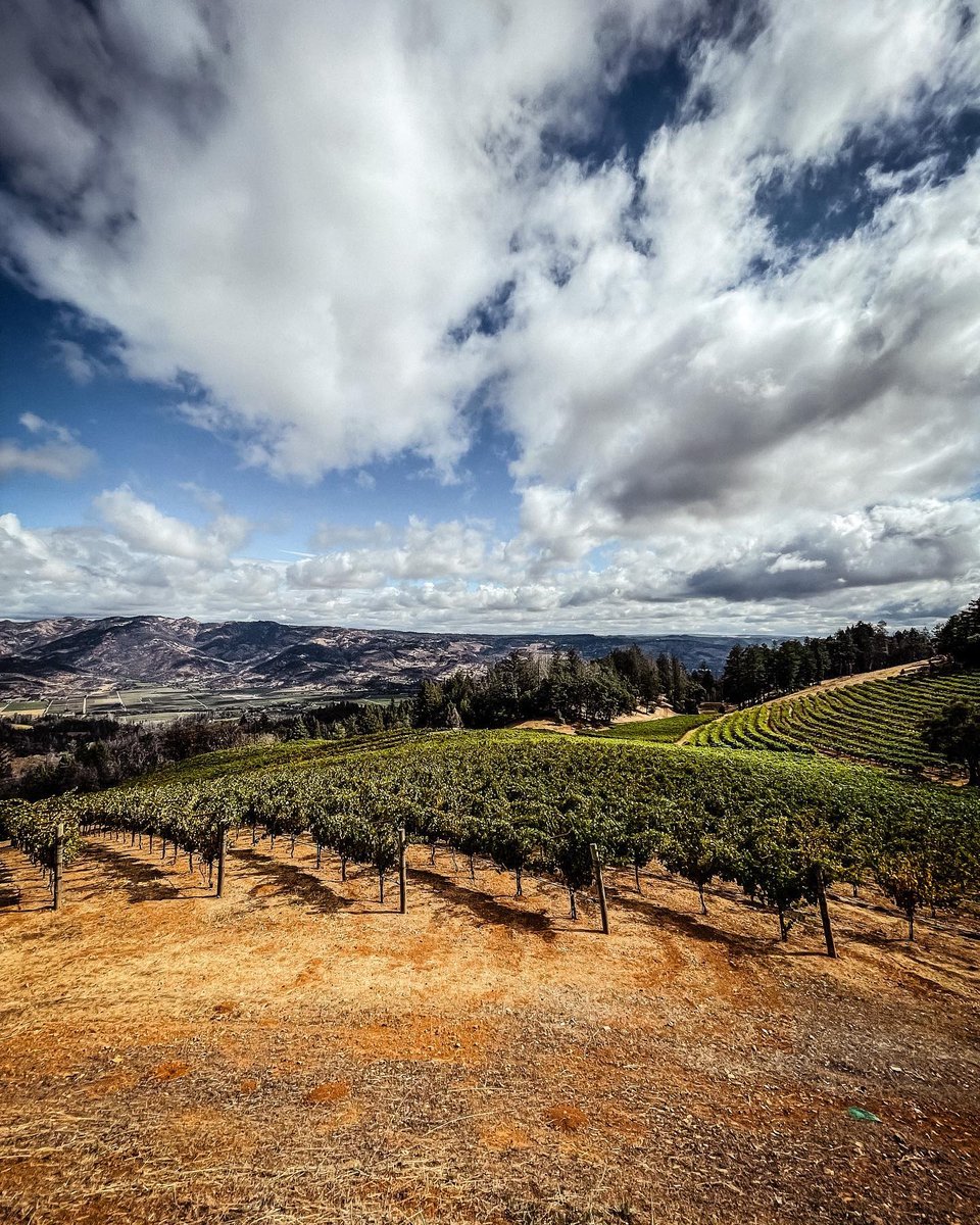 WinerySmith's tweet photo. Thank you for your kind words @bin412wine and for sharing these fun photos of your recent visit! 

Read article:
https://t.co/wqKuh6bh5p

Visit us: https://t.co/NN46AkScoG

#sthelena #winetasting #wine #napa #weekendvibes https://t.co/3Fd6UG3lEI