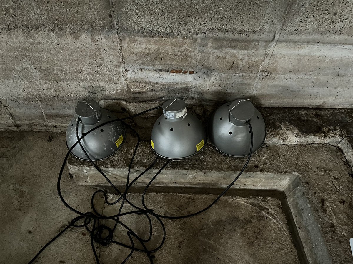 Free if anyone wants em.