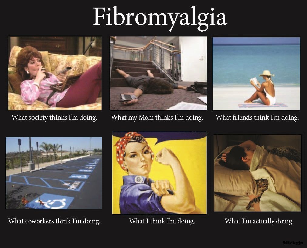 FibroBloggers's tweet image. #Funnyfibro