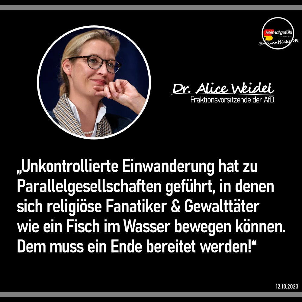 Ich unterschreibe jedes Wort von Dr. Alice Weidel! 🔥
#Bereitfuermehr