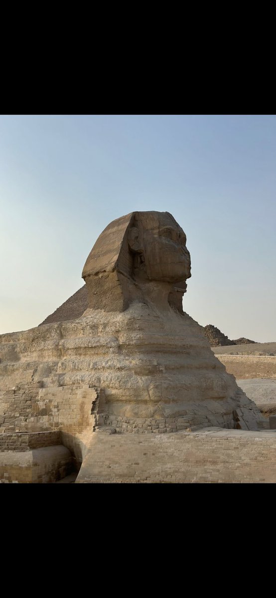 Bizzi Dixon tweet media