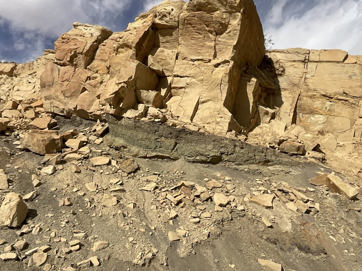 Virtualgeol's tweet photo. Excellent couple of days at the @SEPMGEO #parasequence conference in my second home of eastern Utah - great rocks, great discussion and great people. https://t.co/SMDzkpe2mn