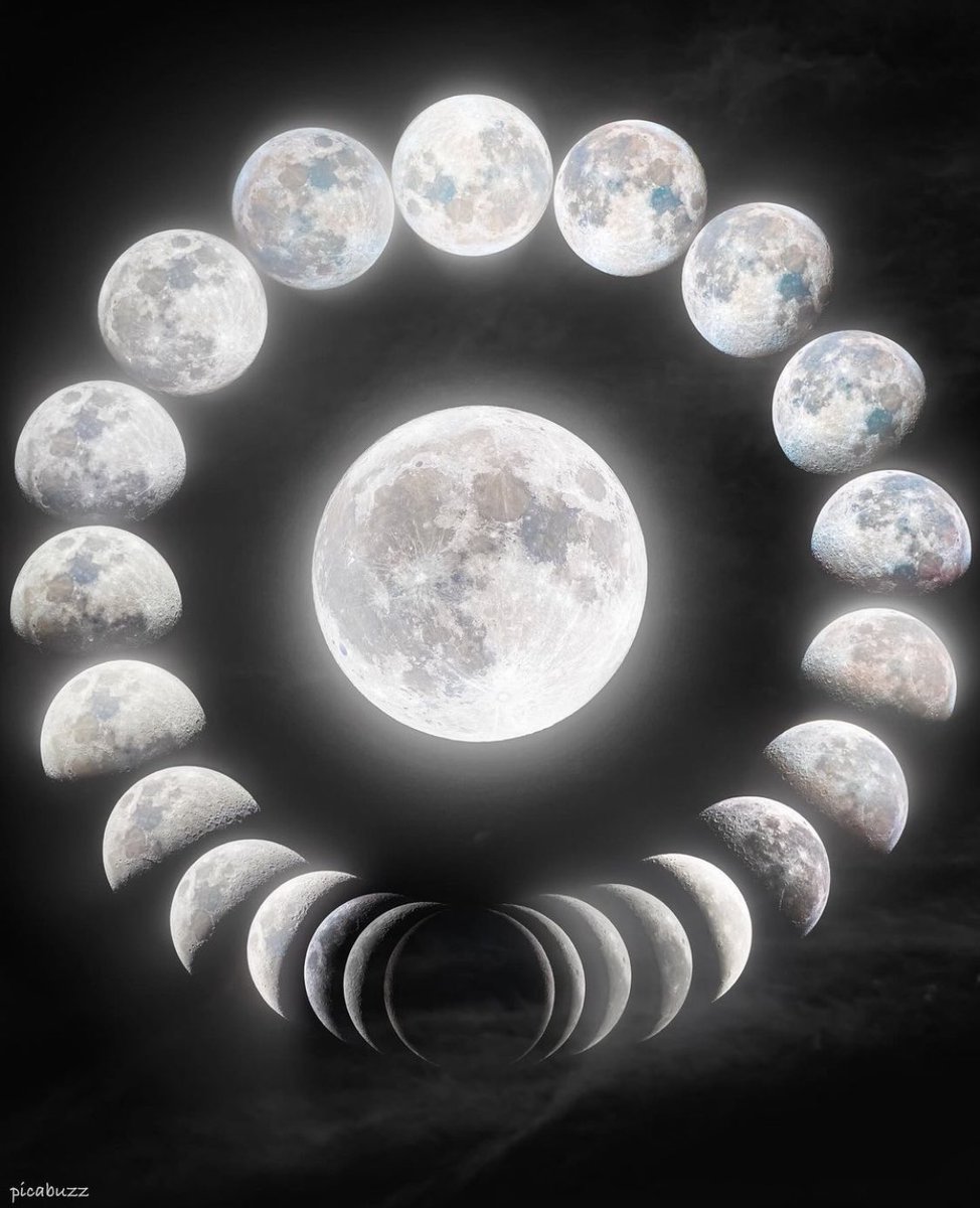 M1ONLOVER's tweet photo. Supermoon Lunar Cycle. Sep-Oct 2023 https://t.co/EQhMgul4O0