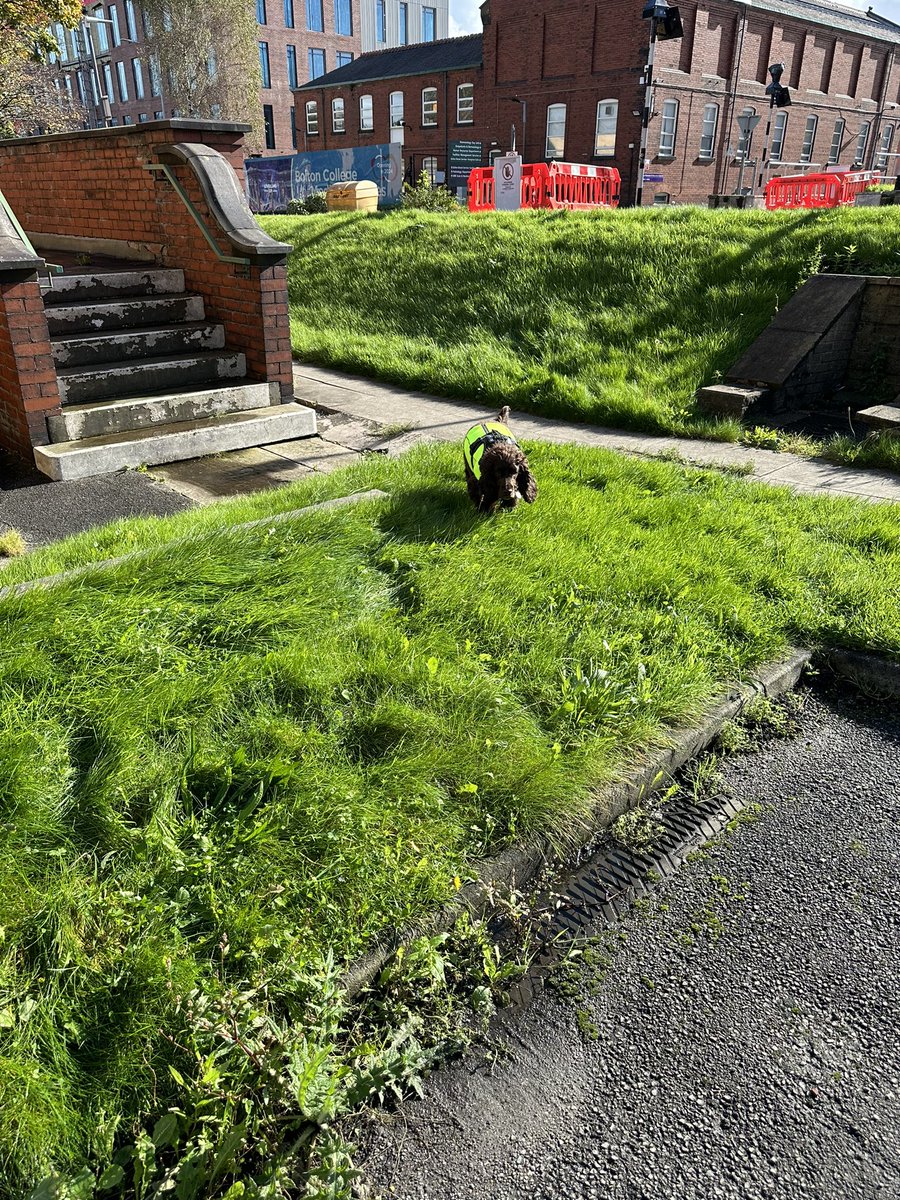 ORidgr's tweet image. Kes do is work as I am doing a visit at the hospital this morning.