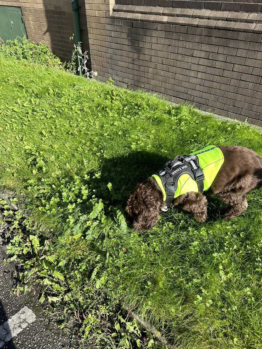 ORidgr's tweet image. Kes do is work as I am doing a visit at the hospital this morning.