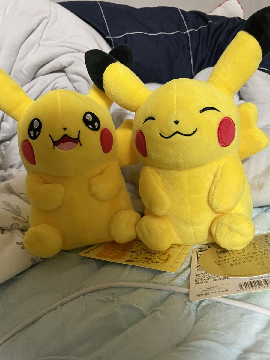 Hizaku9's tweet photo. マイピカチュウ買えた！！！！
購入制限1個は辛すぎる(友達も買ってくれた)
ただ解せないのが９時から整理券配布ってことだったのにそれより���に配られてて遅い整理券しか貰えなかったこと…… https://t.co/1ziIpOTlmb