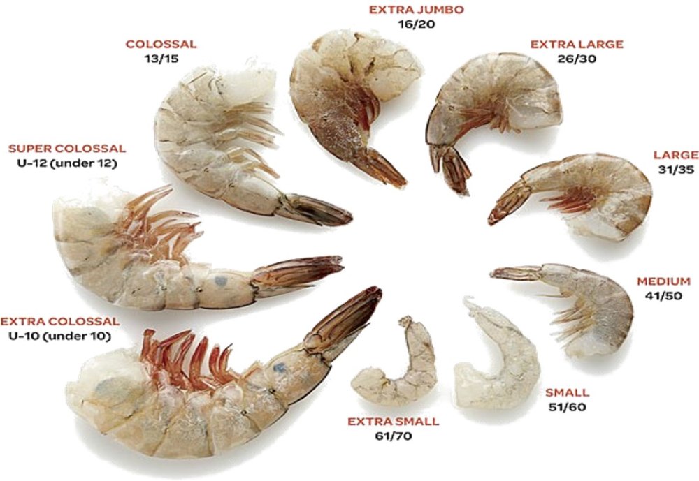 #altaz #alsheba #aljubail #alcaza
 #Esther  #prawns
#venturecapital #funding  #Indianmeat #shrimps 
#buffetbluewaypvtltd  #Iraq #thailand #USA #china #oman #import #UAE  #Meat #offal #import #Export #Worldwide #Vietnam #Business #Egypt #qatar #SaudiArabia