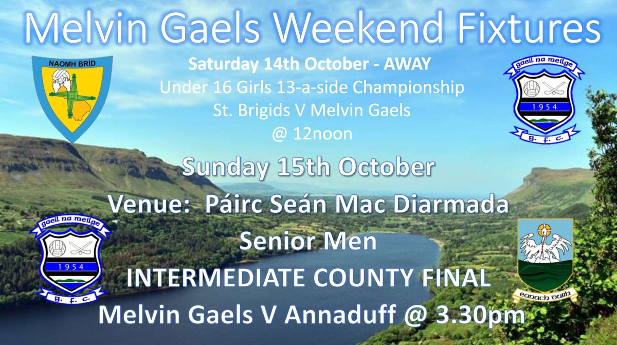 Melvin Gaels tweet media