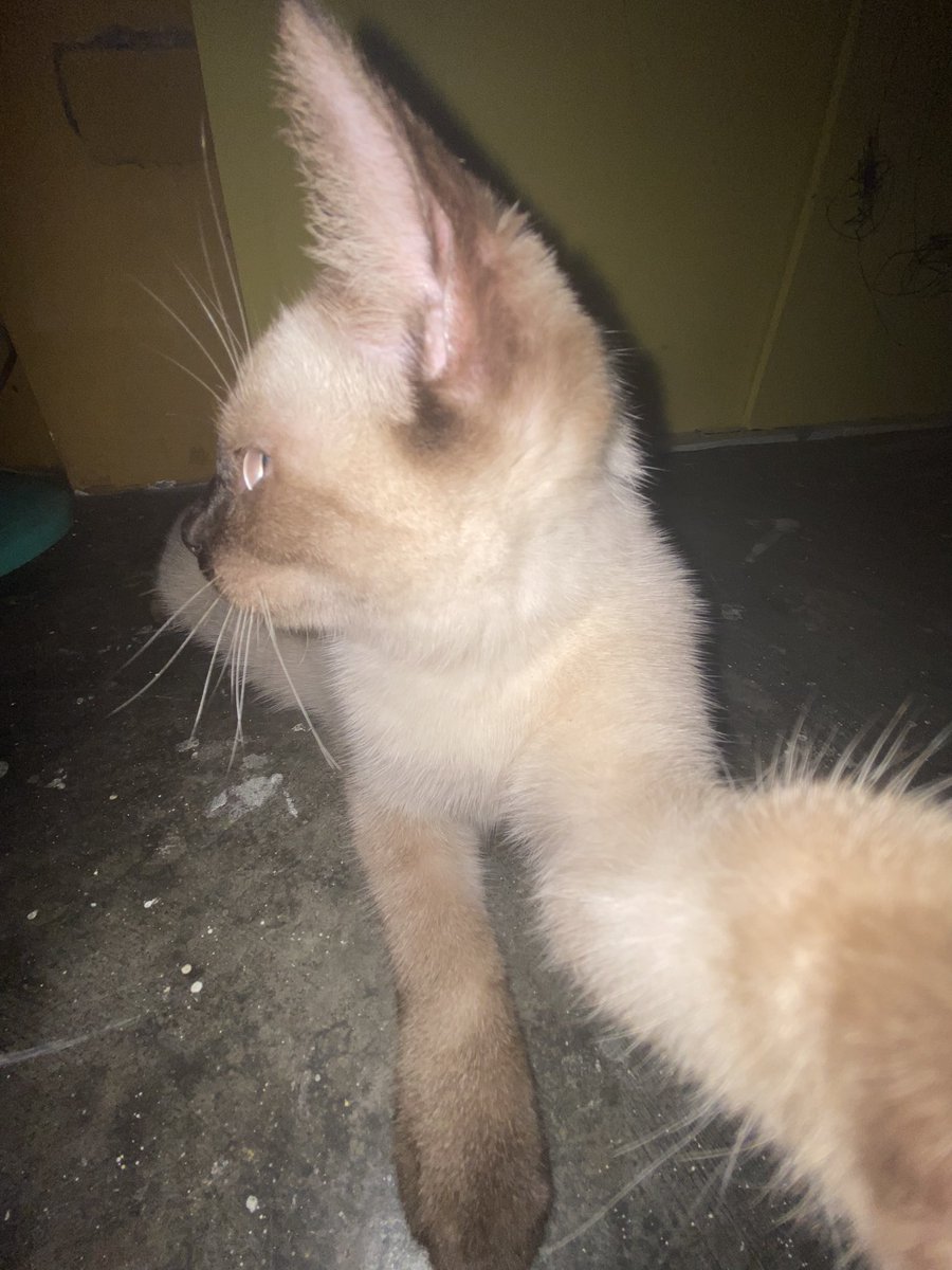 jaichwu's tweet photo. my bebe so pogi https://t.co/ludKIrWDvz