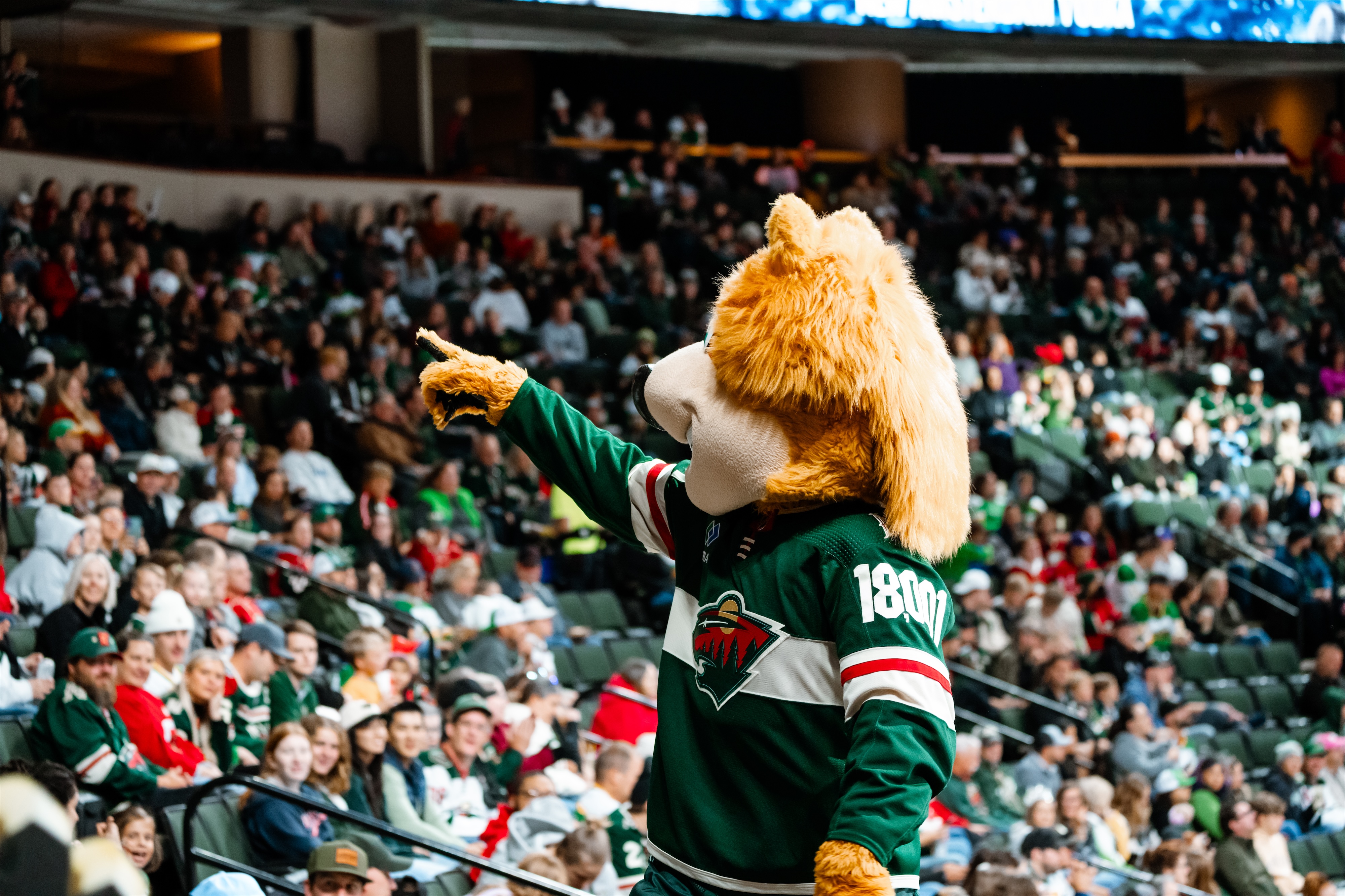 Nordy from the Minnesota Wild is hanging out with #Crash! #IAWild