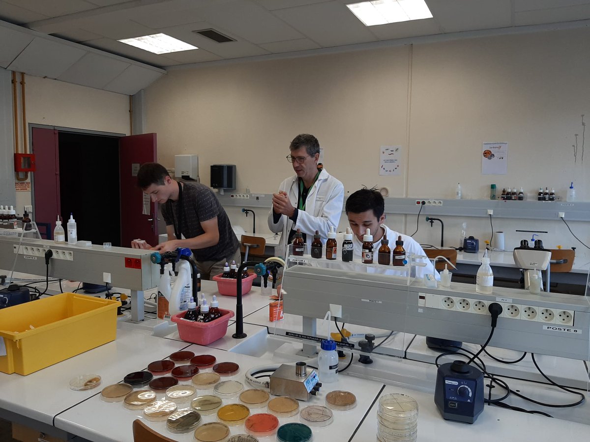 CBSA_Lab's tweet photo. Venez retrouver l'équipe du CBSA à la Fête de la Science ! Saviez-vous que vos performances sportives sont liées à votre microbiote ? Venez aussi découvrir notre atelier "zoom sur les bacteries" ou Bactosland ! Tout le week-end au Campus 2. #FDS2023 #UNICAEN #CBSA_Lab https://t.co/eK8wYAaUXz