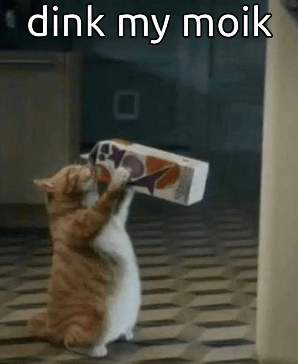 PostsOfCats's tweet photo. https://t.co/MkZwx7hcyF