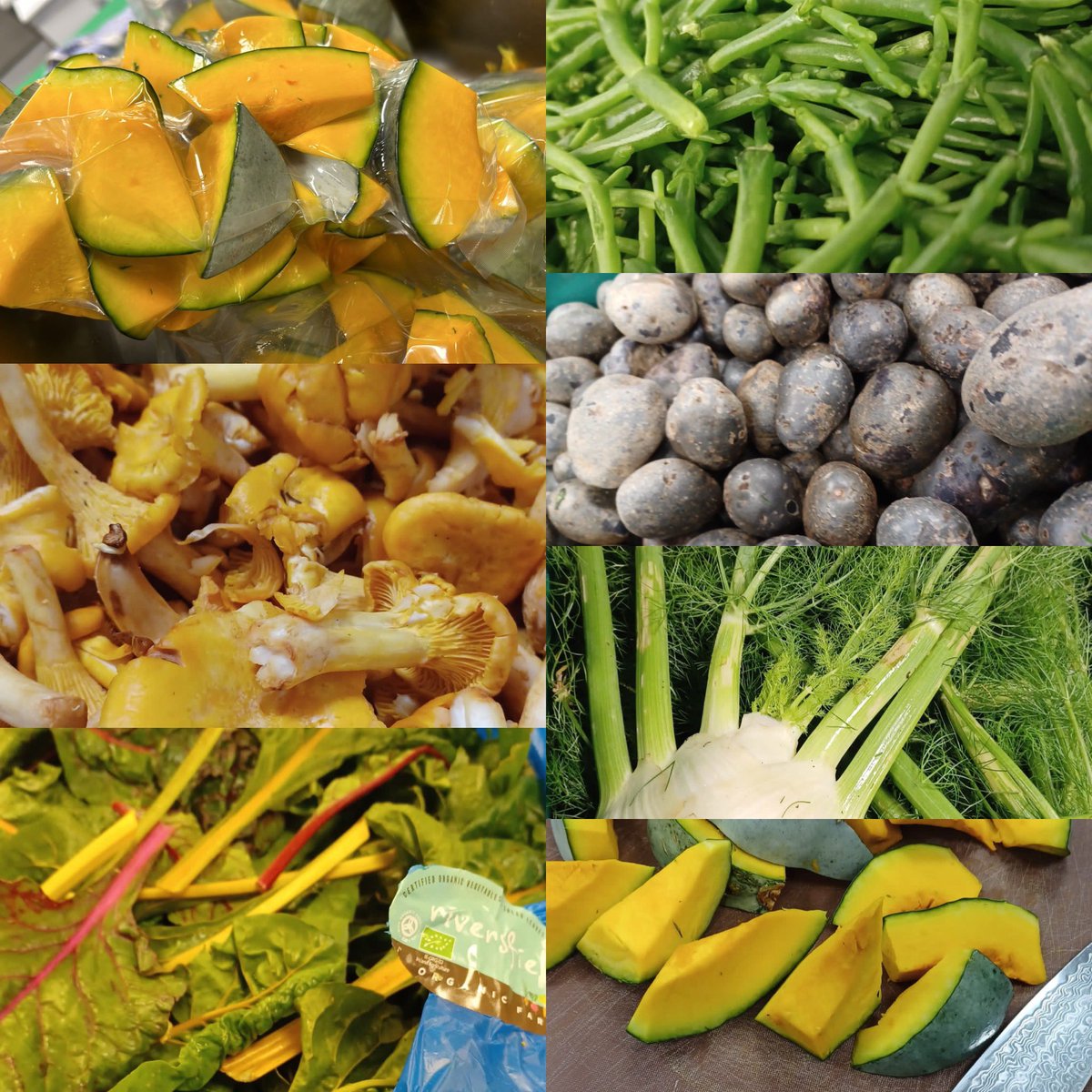 mark anderson tweet media