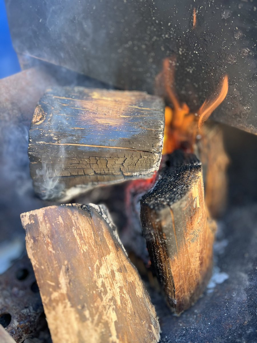 mark anderson tweet media