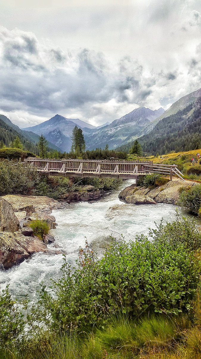 just_Blue___'s tweet image. #SaturdayMorning #SaturdayVibes #nature
#photograghy 
💙 HAPPY WEEKEND WORLD 💙