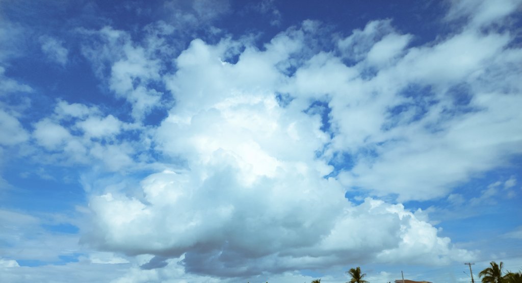 clrncgm's tweet photo. One fine day💙 https://t.co/XapinJC0jM