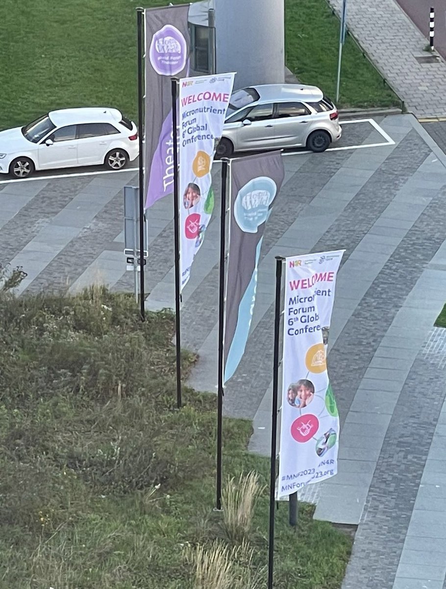 The Hague is getting ready for the <a href="/MNForum/">Micronutrient Forum</a> conference💚!