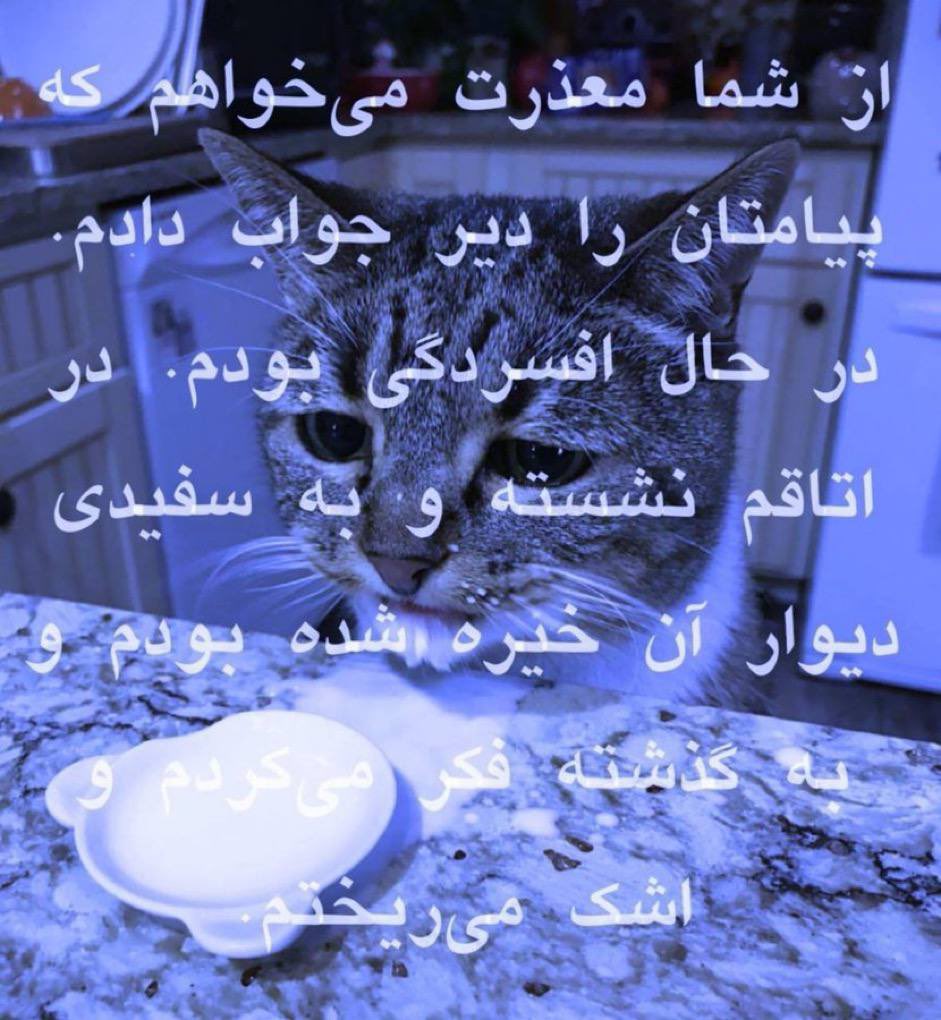 illuqia's tweet photo. https://t.co/eLnbx17dfy