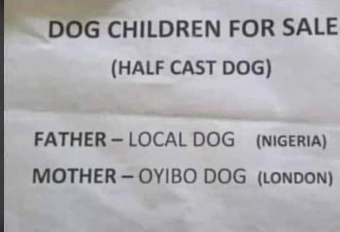 'Half cast dog' put up for sale 😂🤣