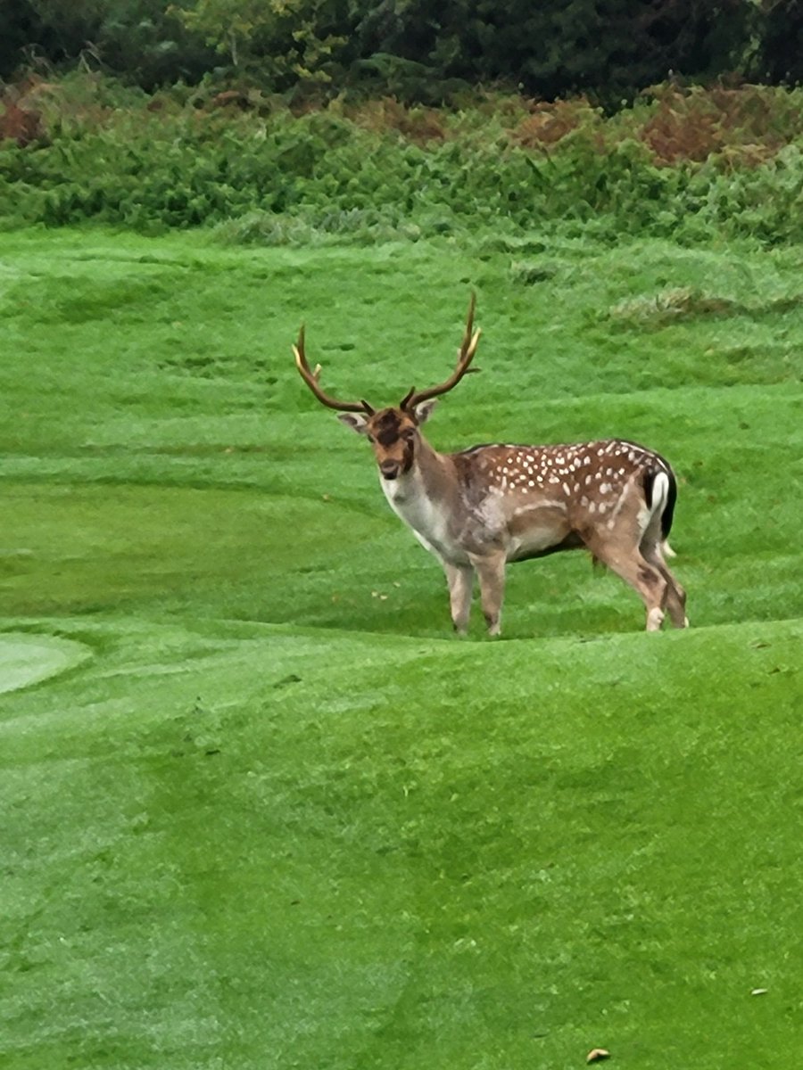 Barryryan tweet media