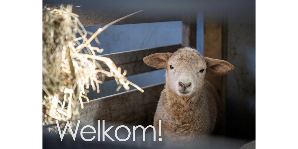 Loopbaanparadox's tweet photo. Een serie blogs met meditatieteksten… De gehele serie is te bestellen als set meditatiekaarten via de mail: info@leiderschapsparadox.nl 

Ik wens je een goede meditatietijd!

https://t.co/uIH5lOLeA3 https://t.co/JurqQebrzU