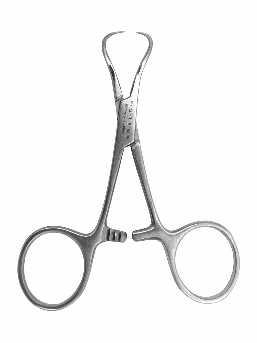 Tom Marcelissen tweet media