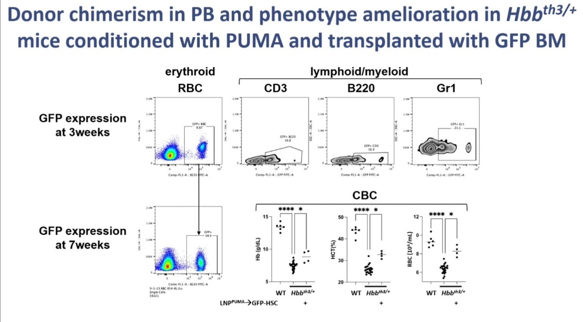 salvadorpayan's tweet image. ¿Adónde llegaremos con la #TerapiaGénica?Que la mieloablación es un problema 👉🏾 introducimos ARNm de proteínas proapoptóticas en las células madre y luego infundimos. La #Hematología,liderando el futuro de la Medicina.Stefano Rivella, reunión del grupo europeo de #Eritropatología
