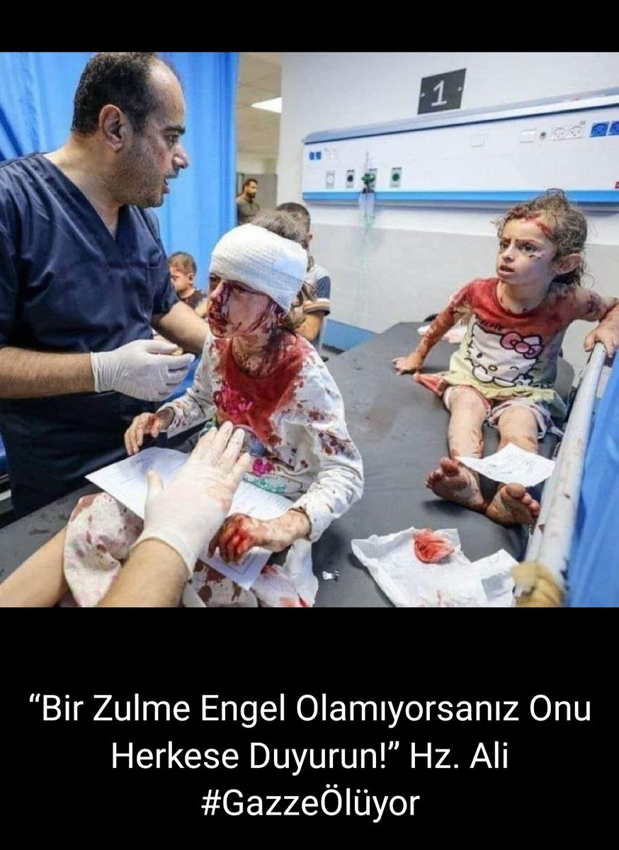 Gülnur Akay🇹🇷 (@akaygulnur) on Twitter photo 