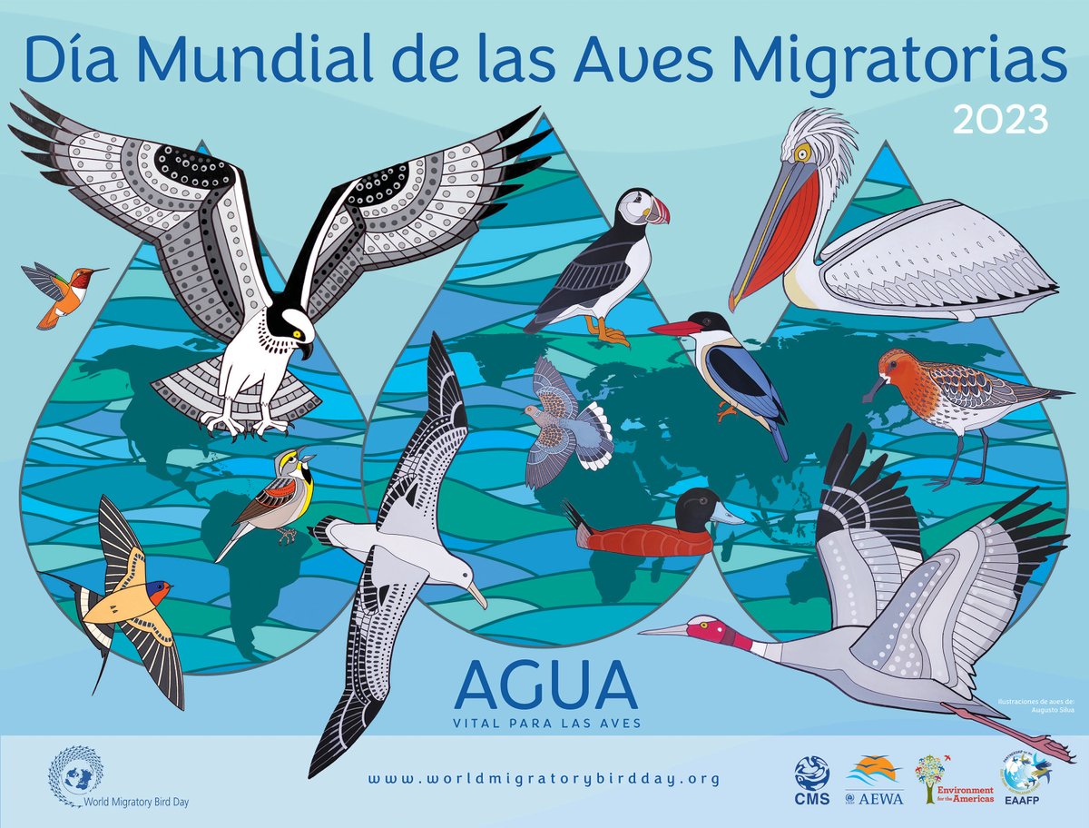 unep_espanol's tweet photo. Los recorridos de las aves migratorias son de los más largos realizados por cualquier animal.

Para descansar, dependen de hábitats como ríos, lagos y humedales.

El #DíaMundialDeLasAvesMigratorias urge a actuar para garantizarles agua. #WaterForBirds.

https://t.co/N1CFJ6Alda https://t.co/OlZNM6tlMh