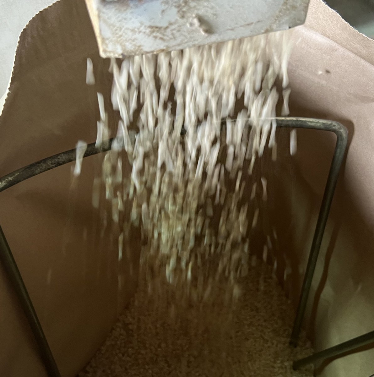 clover_ktm's tweet photo. 1.稲刈り＆脱穀
2.乾燥(約6〜8h)
3.選別＆籾取り(焦げ米 未熟米)
4.ここまできて漸く玄米
＊30kgずつ袋詰め🍚

今年のお米はお義父さんとの記憶や口伝を頼りに義弟と２人で作った初めてのお米🌾収穫量を昨年越え出来たのが地味に嬉しかったりする☺️ https://t.co/EDasJcQQ8s