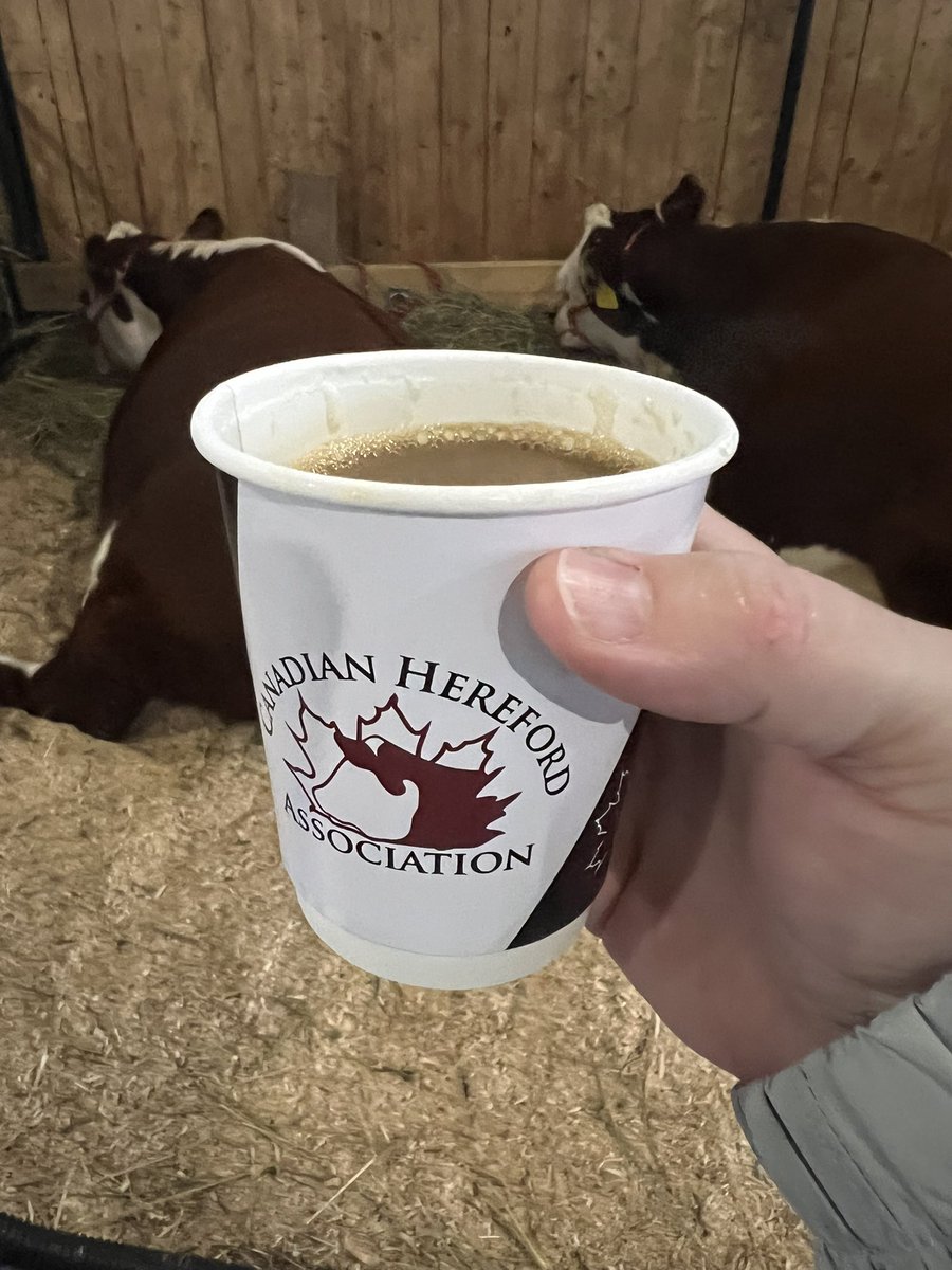 Show day! NB Beef Expo <a href="/CAN_Hereford/">Canadian Hereford</a>