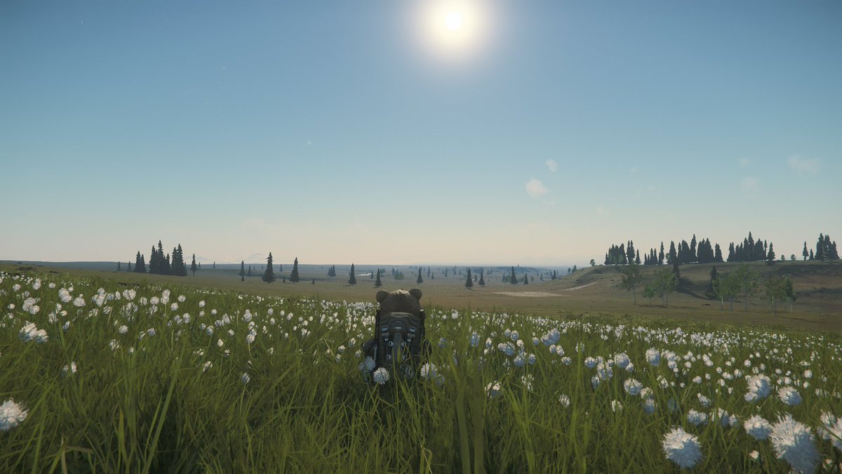 pasando el día por el campo #StarCitizen #amimevabien