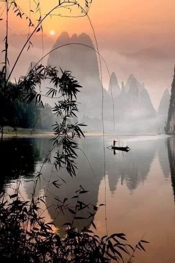 Pavlo 🏝️🐬 (@pavlo_ua) on Twitter photo 