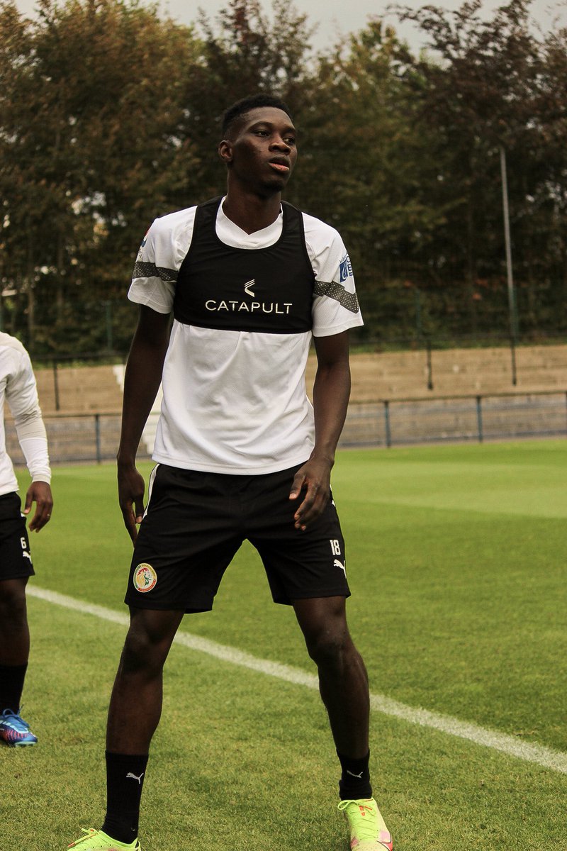 playandrec's tweet photo. 📸🇸🇳 https://t.co/1msfxVI8l9