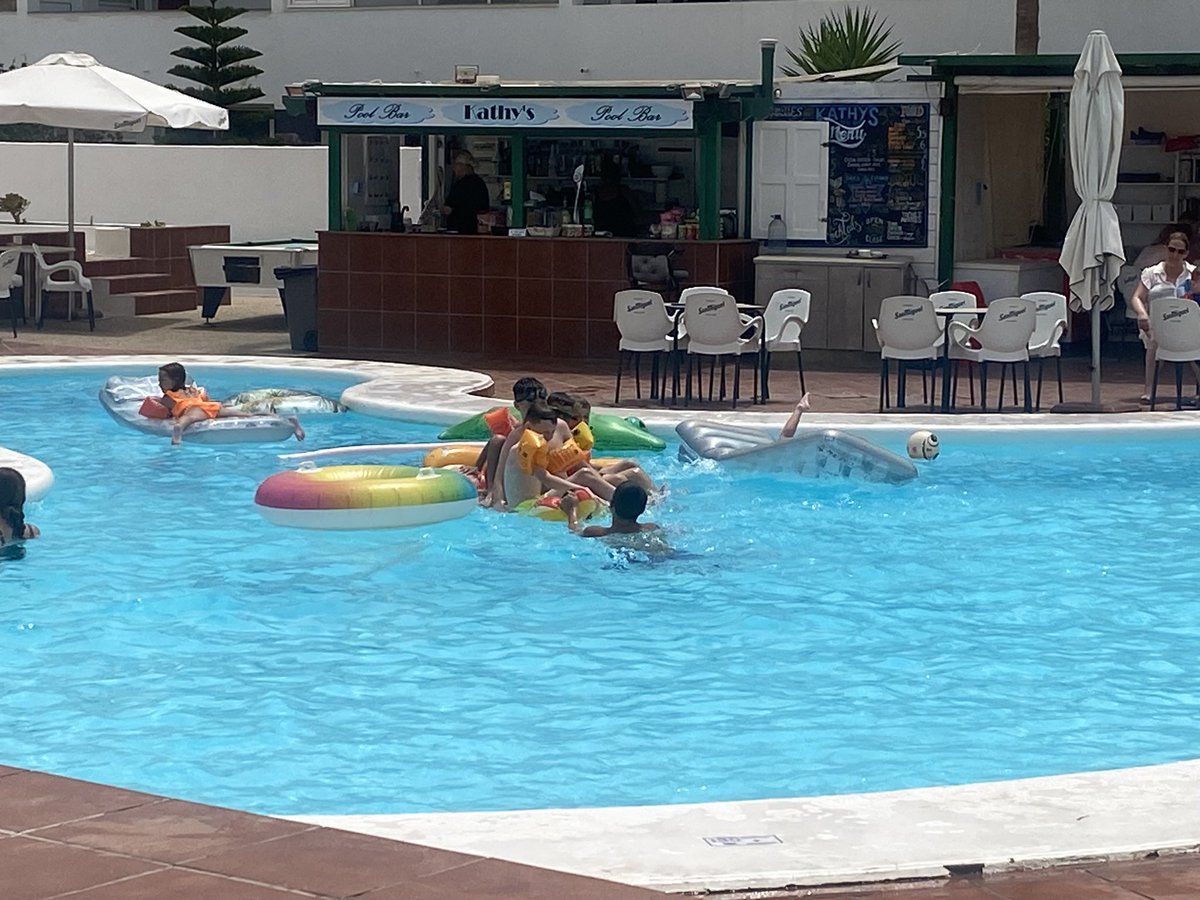 Bernadette Turner ✨ tweet media