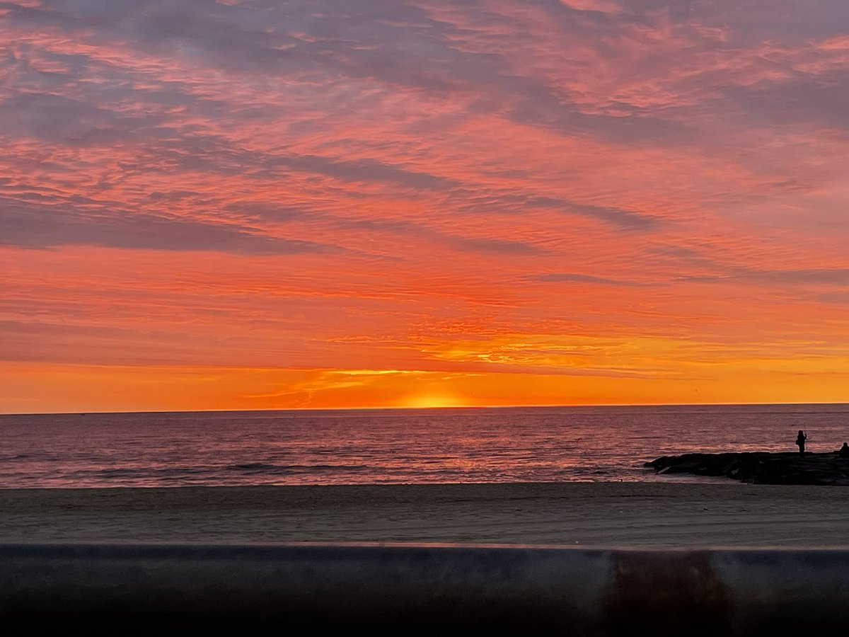 Cecilia Tamayo tweet media