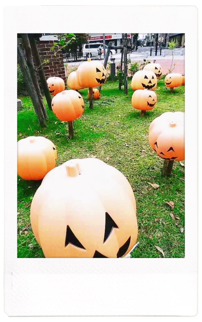 sa_camera828's tweet photo. 秋
#instaxpal
#チェキ https://t.co/P6Riq0JMmt