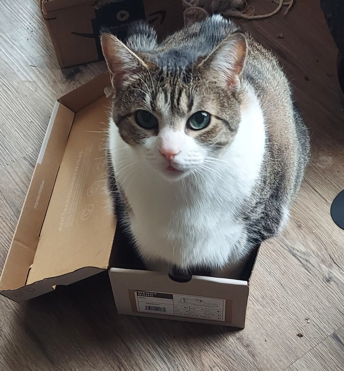 ECHO (@echo_207) on Twitter photo Odin says, "I fits, I sits." Odin says, "I fits, I sits."