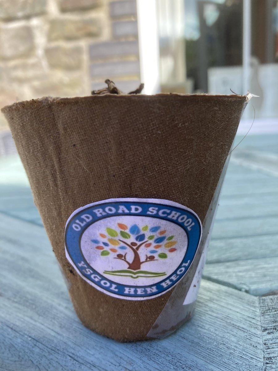 Syniad wych gan <a href="/oldroadschool/">Old Road School Ysgol Hen Heol</a> i ddosbarthu planhigion yng nghanol dre Llanelli ddoe i ddathlu diwrnod <a href="/ShwmaeSumae/">Shwmae Su'mae</a> Diolch yn fawr. #shwmae <a href="/ShwmaeSirGar/">Shwmae Sir Gâr</a> <a href="/CarmsCouncil/">Cyngor Sir Gâr</a> @EDGarethMorgans