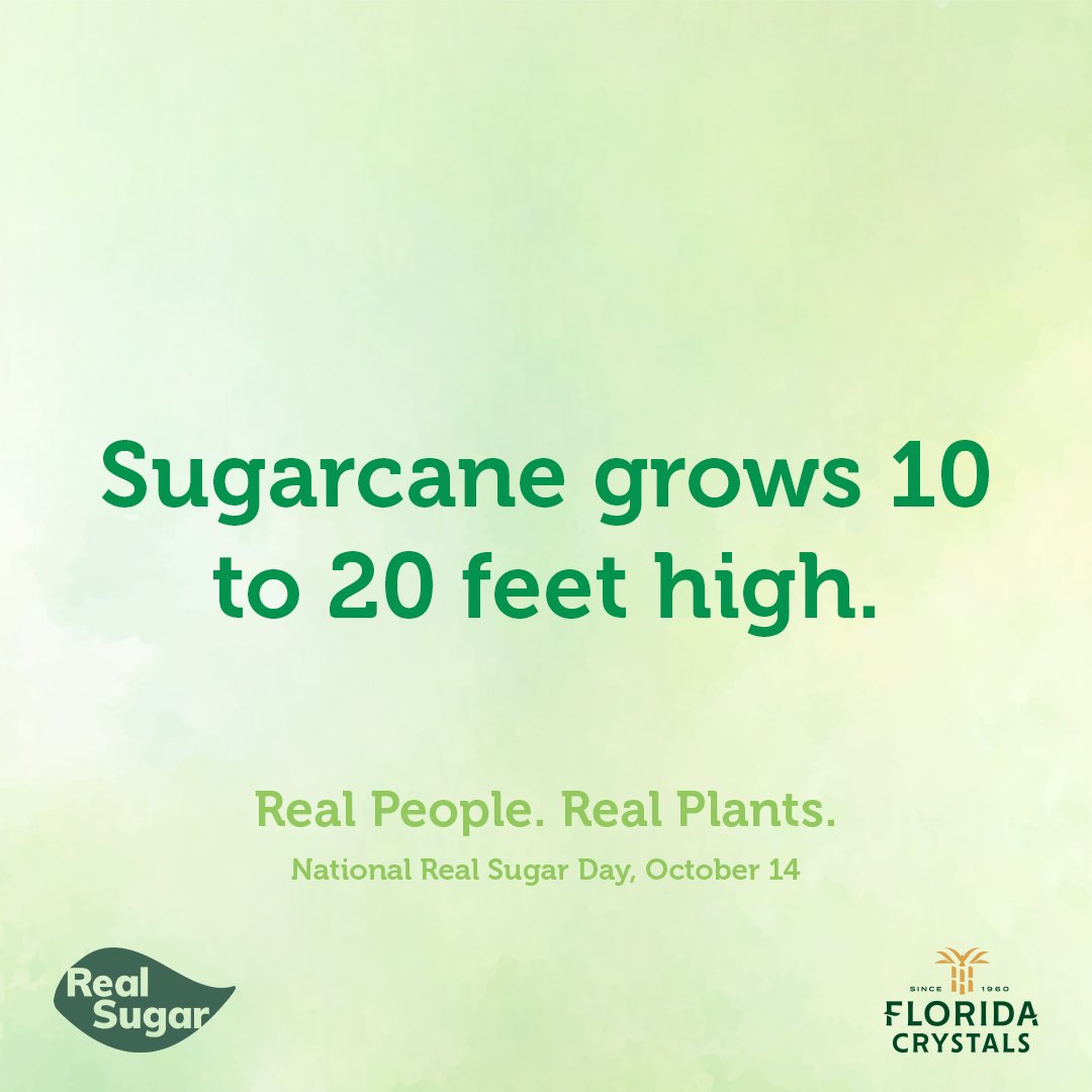 Florida Crystals tweet media