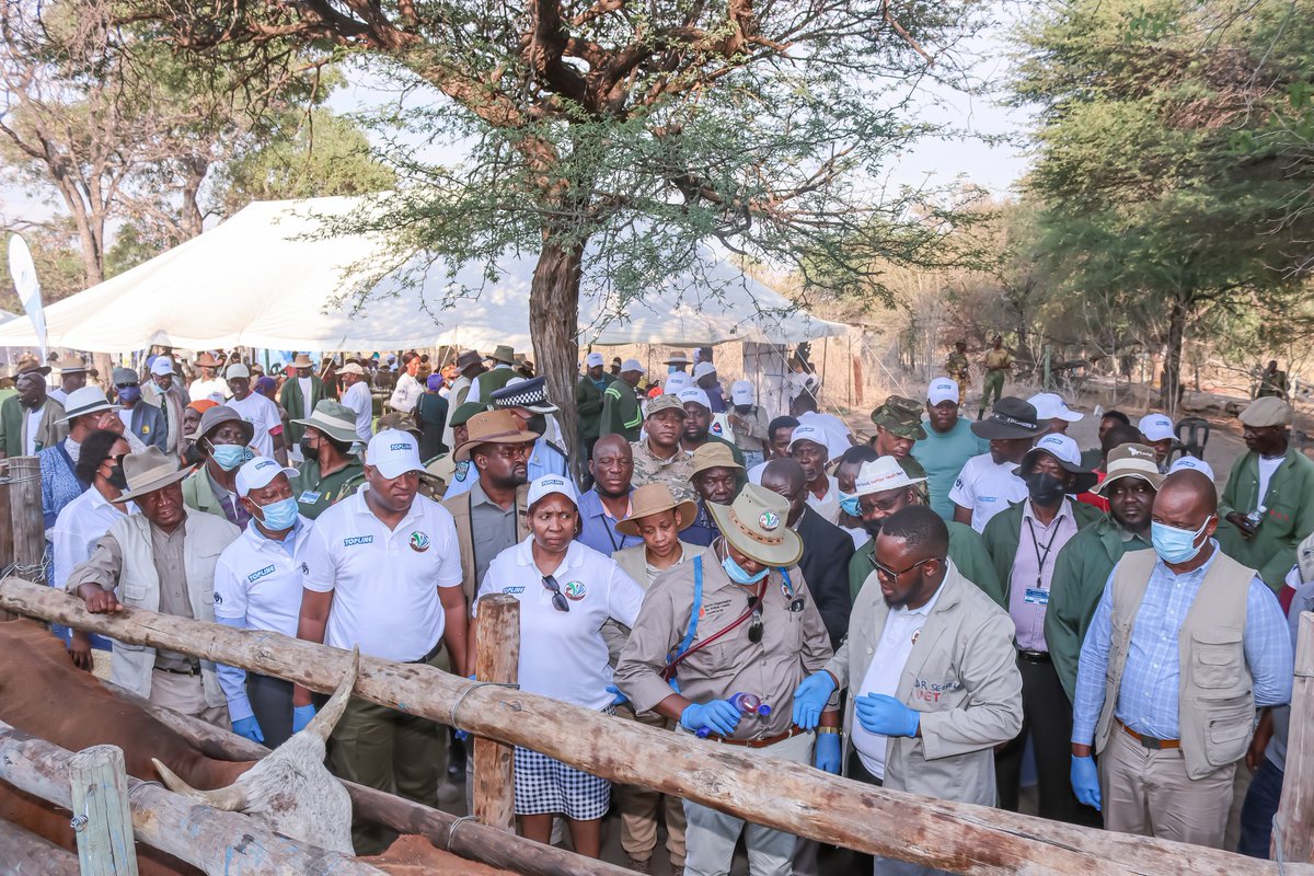 DVS officials demonstrate to Hon. Fidelis Molao on the use of the newly launched Topline dip to help combat bont tick disease. The Ministry of Agriculture, alongside Botswana Vaccine Institute introduced a new formula that will alleviate the Senkobo cattle disease in Ngamiland.