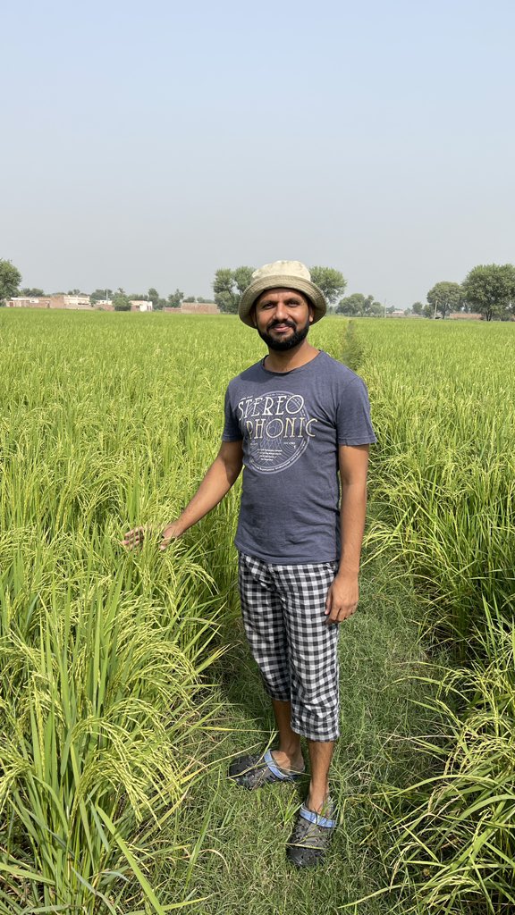 ukch455's tweet photo. Today, I visited a rice field where the application of Chlorantraniliprole was recommended to combat the threat of stem borers on rice plants and encourage their healthy growth. I also ensured various practices aimed at fostering the well-being of the rice crop at Ojla Agri Farm. https://t.co/k6tj3Le3IQ