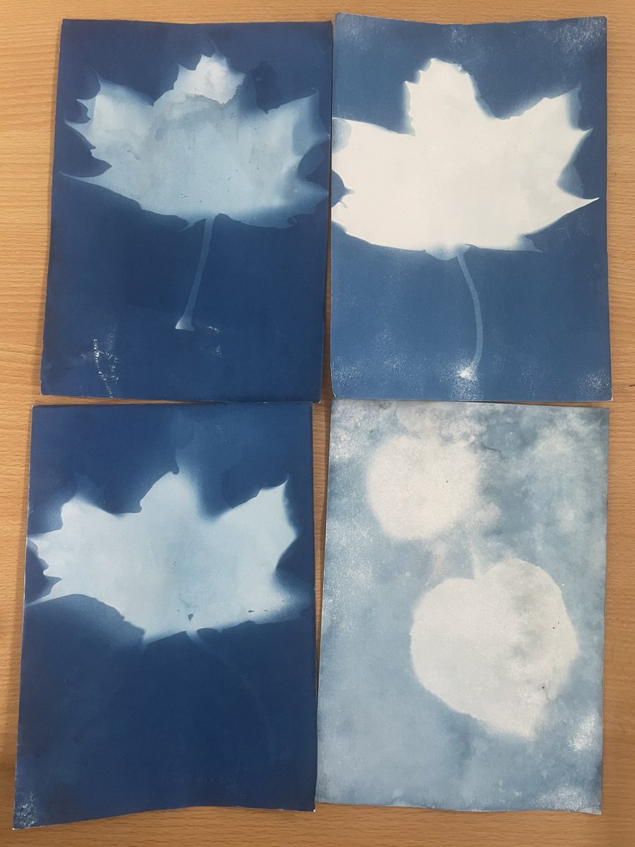 Ms McInerney tweet media