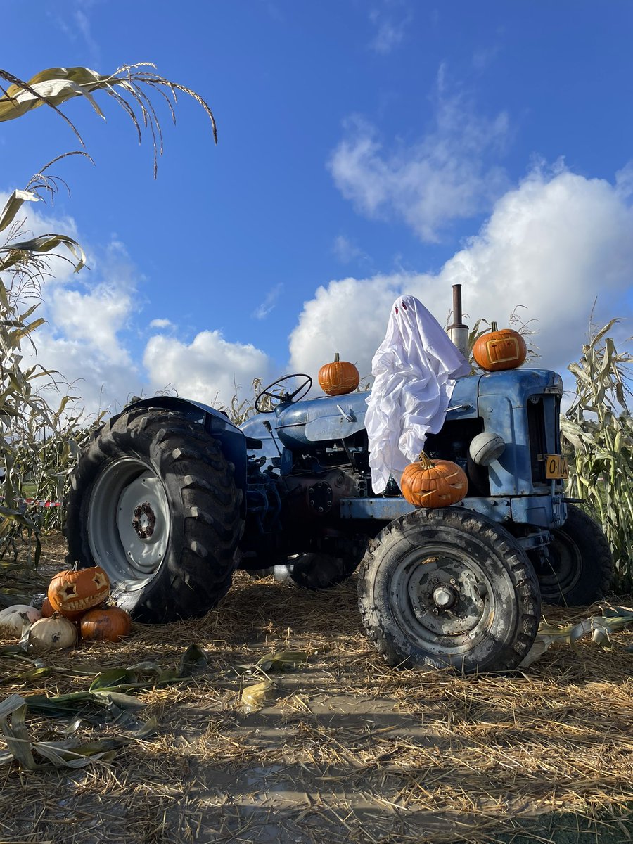 Maakuntamatkailtiin Halikkoon kurpitsaviikoille! Vahva suositus.