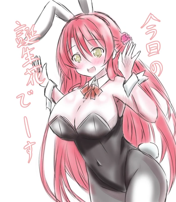 だそうです 