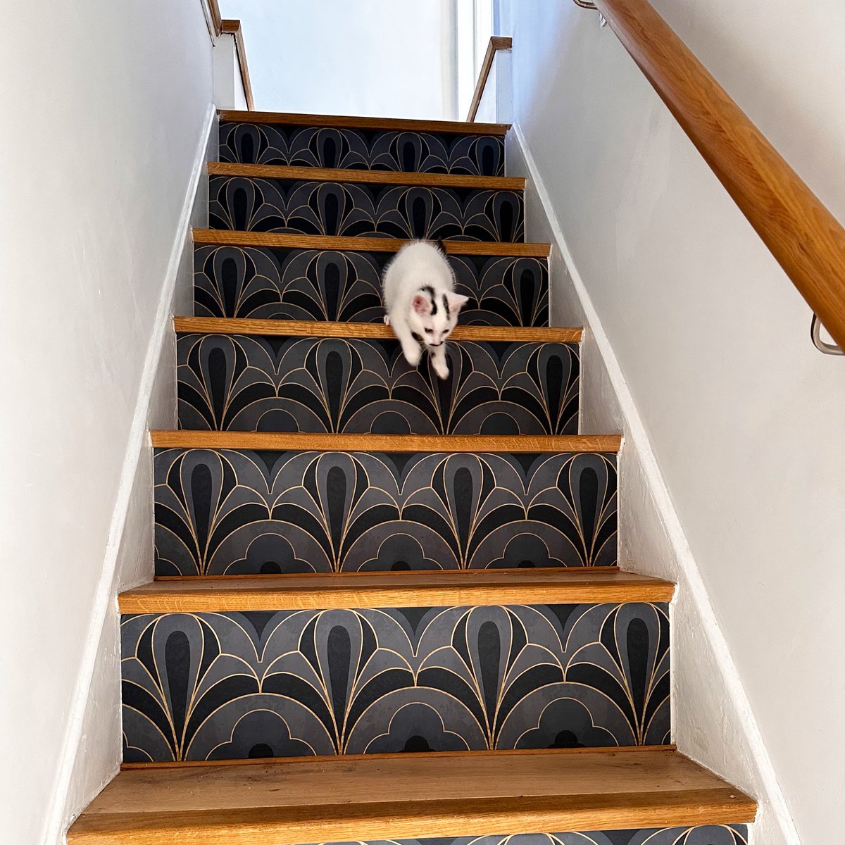 Laura Elliott tweet media