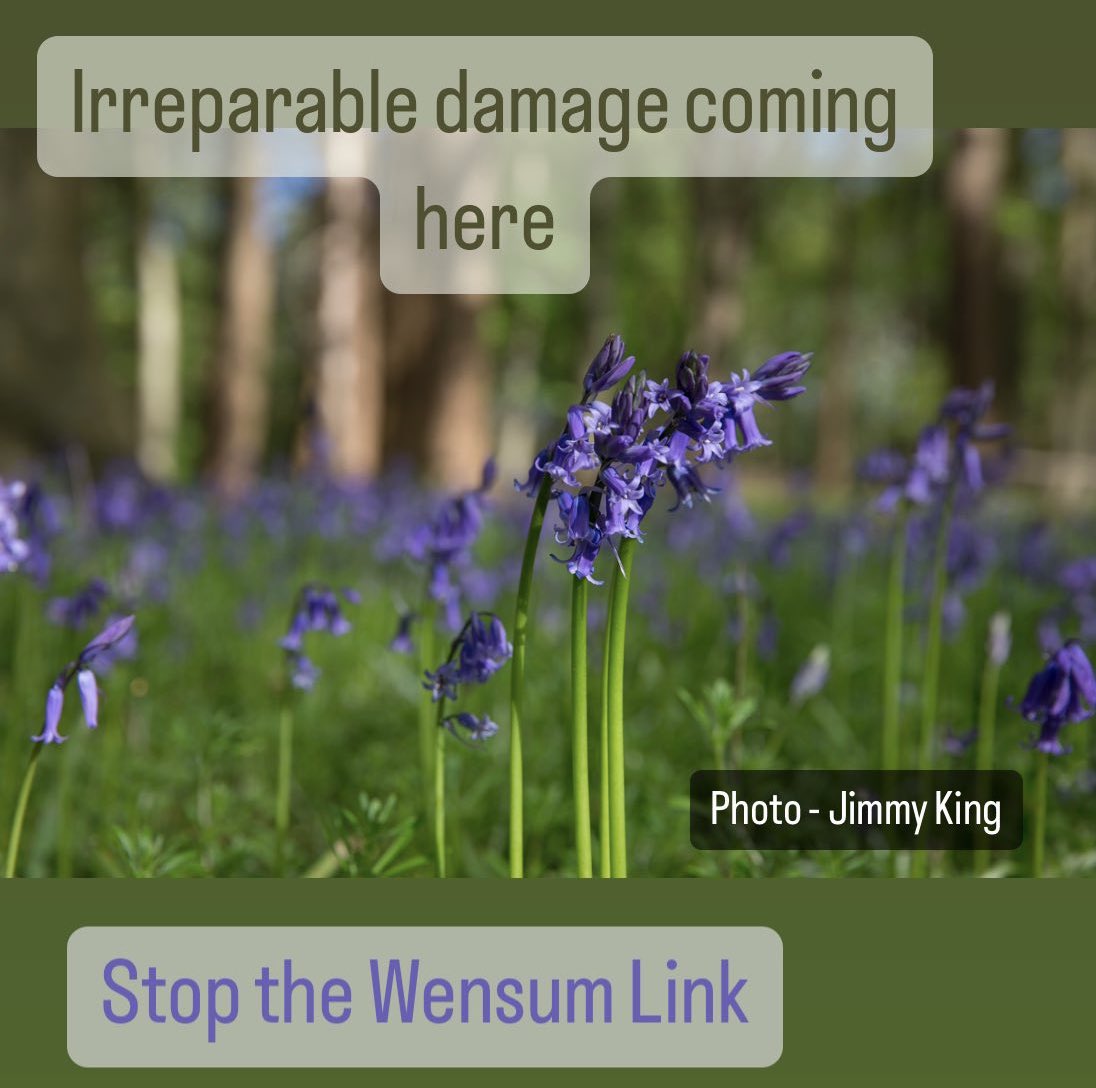 You can join the @StopWensumLink mailing list - then you will be ready to help put pressure on during planning consultation - we will lead you through it the most painless way! forms.aweber.com/form/92/874649… check your spam!