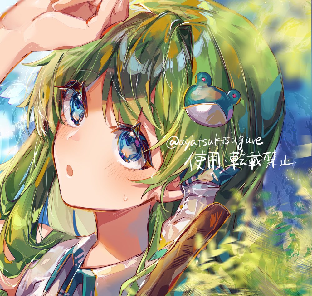 kochiya sanae 1girl solo green hair hair ornament frog hair ornament long hair blue eyes  illustration images